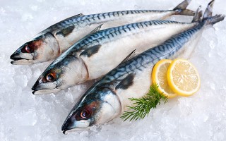 Omega-3 Basics