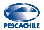 Pesca Chile S.A.